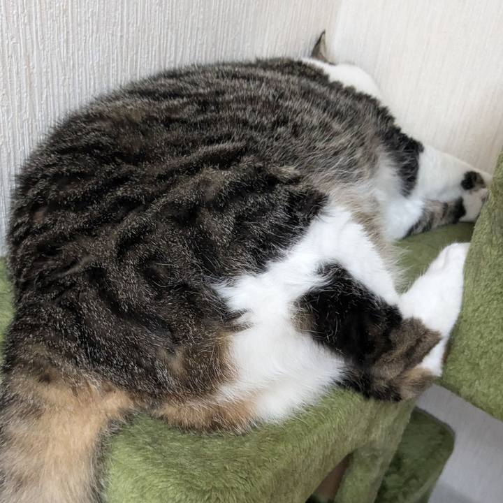 0e1e09fc f1b3 4e64 b839 711f1765b056 1719472559315