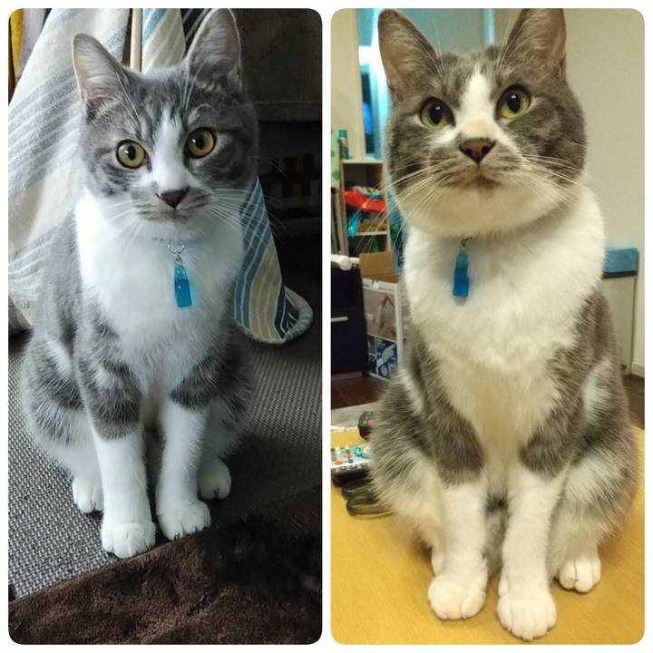 0e1e1d37 bc8a 42b7 90c5 c2fc7fae289d 1607153609952