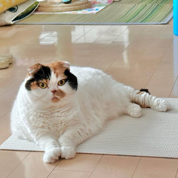 0e1e1fb9 09e0 42f8 aa2b e4daf6594f20 1690235026231