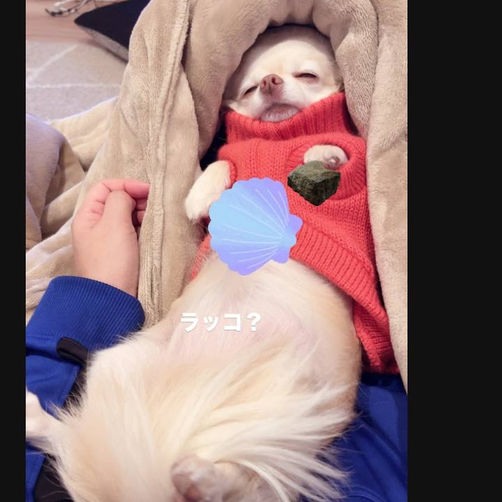 0e1e2caa 4410 42fc 8ff3 c3a9f5bf4cd4 1734617403022