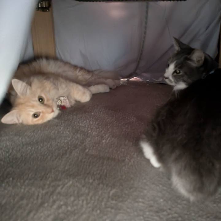 0e1e30a1 f8c7 449d 81af df9592f8afc7 1763534389010