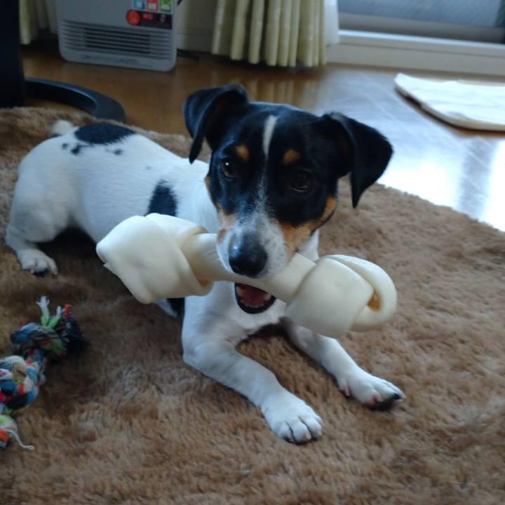 0e1f0408 065f 4b82 985c e17ce19dbec3 1577240631054