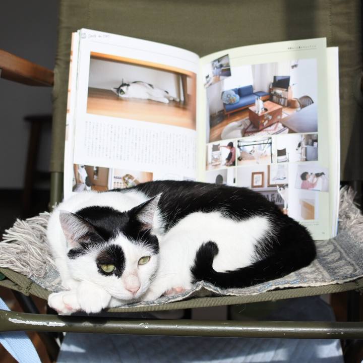 0e1f165b 3628 4317 9c58 59382c299cd1 1539502235291