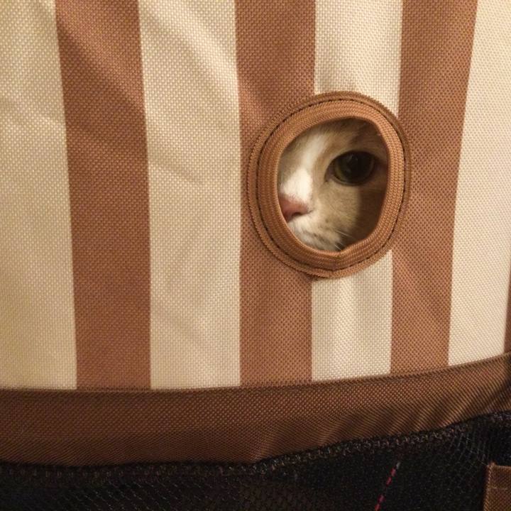 0e1f5432 951d 4d99 9170 19130e2cda24 1616853072923