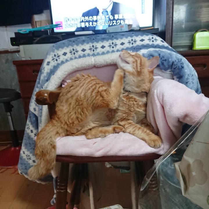 0e1f5e56 1d4f 407f 80d8 4b1c8cfb7c15 1651630901957