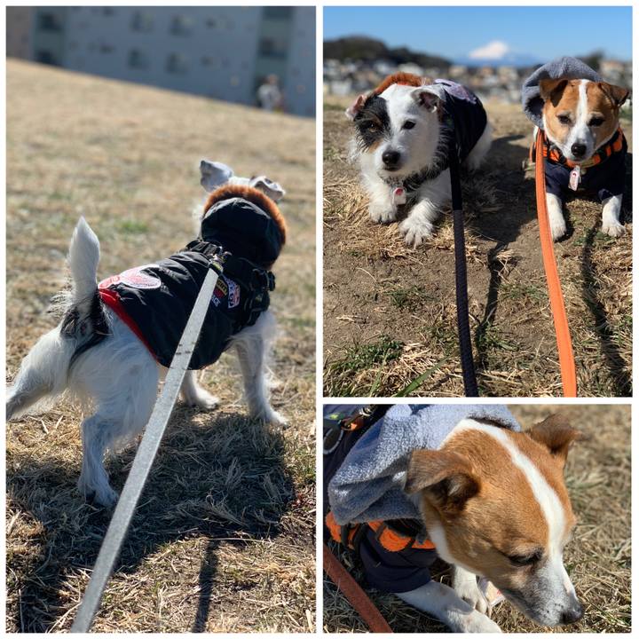 0e1f668c 047f 417f 96a2 f64d454895ae 1612837524453