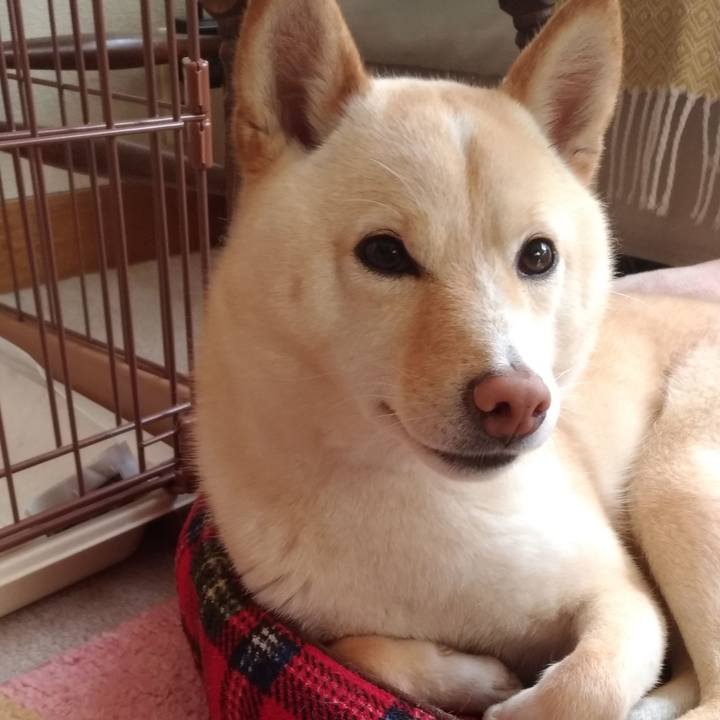 0e1f7bc2 0698 43d4 8c92 c22c4d74a302 1555112777524