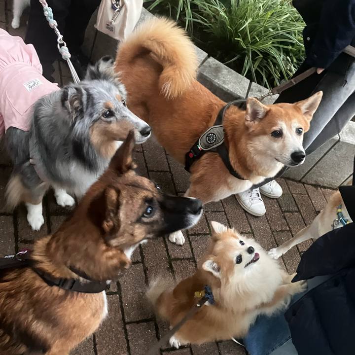 0e1f7de5 9290 4a59 bfbb d70247214aab 1761253181508