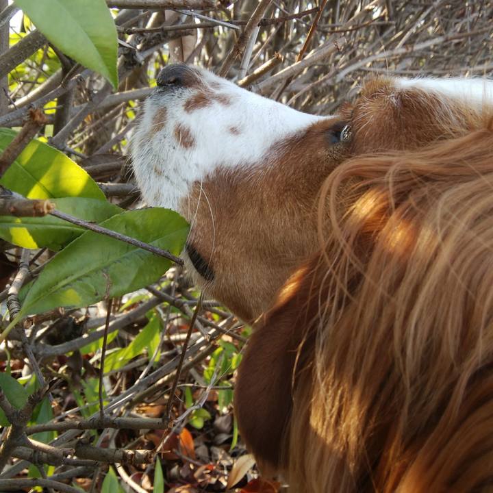 0e1f98d3 561b 4893 b360 16ba351d5ae8 1531830409981