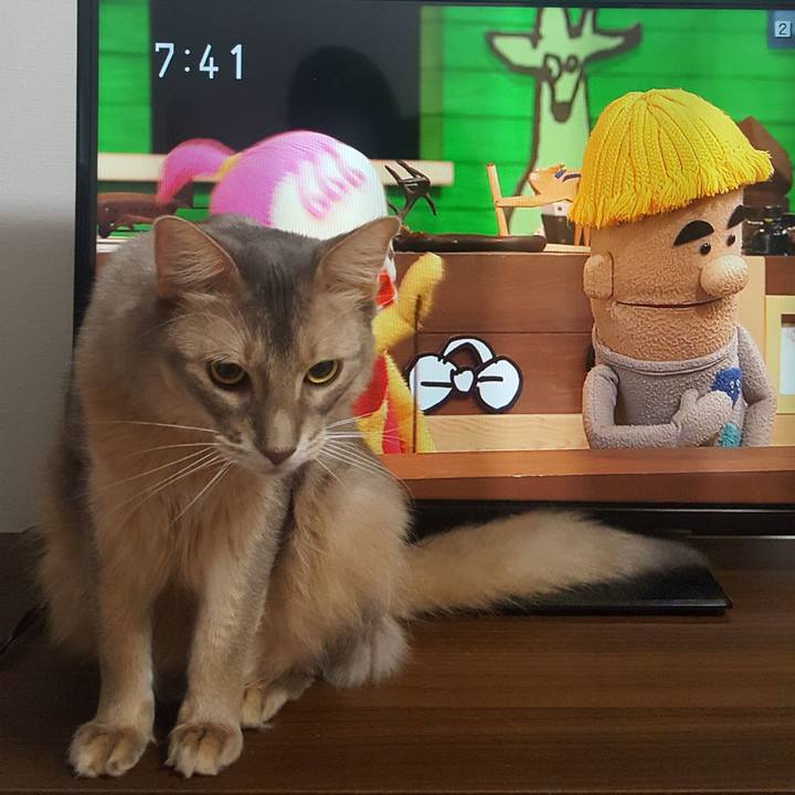 0e1fc5cb ab93 4cfb 806f 161012084d2c 1576282152813