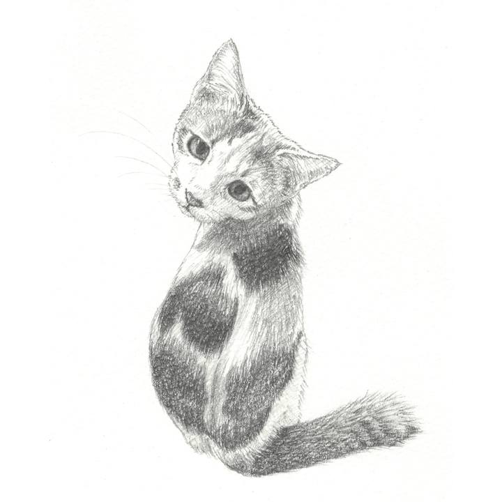 0e1fd9f3 1c49 4c24 98bd fd544f5c8d96 1550759976991