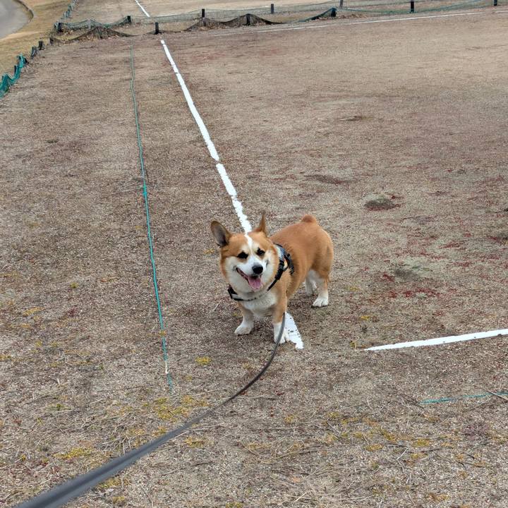 0e1ff632 5f25 41ae 9e6b 35bbc89a81d2 1739665713220