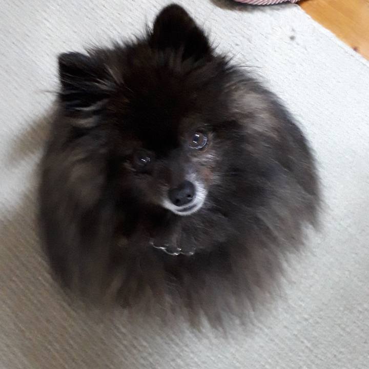 0e1ff941 611d 4edf 9376 073641b75c39 1520108147496