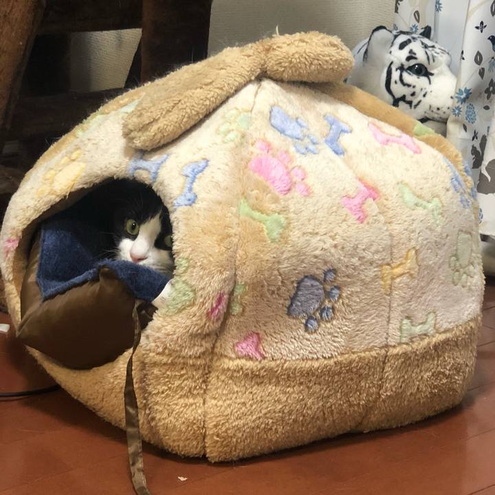 0e201707 a7b7 46ee 9933 9294d8744af1 1571996290523