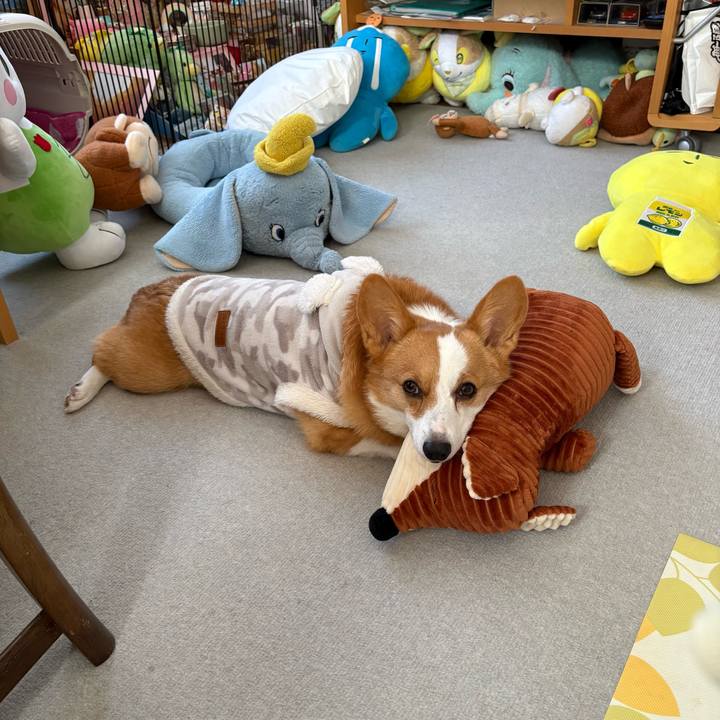 0e205fe6 d84d 470e b9d4 12477e0f12e6 1768614407792