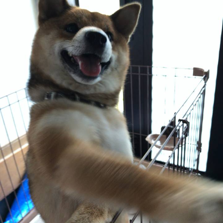 0e2066a3 c125 452c 9acf ed040a9a0d75 1531915764489