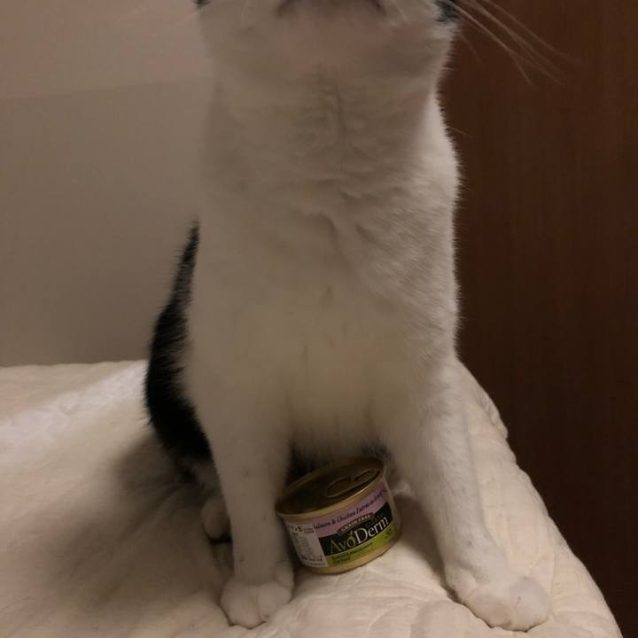 0e208114 3957 4340 9d3d 67d796e24a73 1562336136214