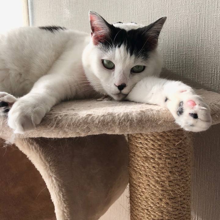 0e20919b c1e9 4ee1 be87 aae27919ce56 1521960782609