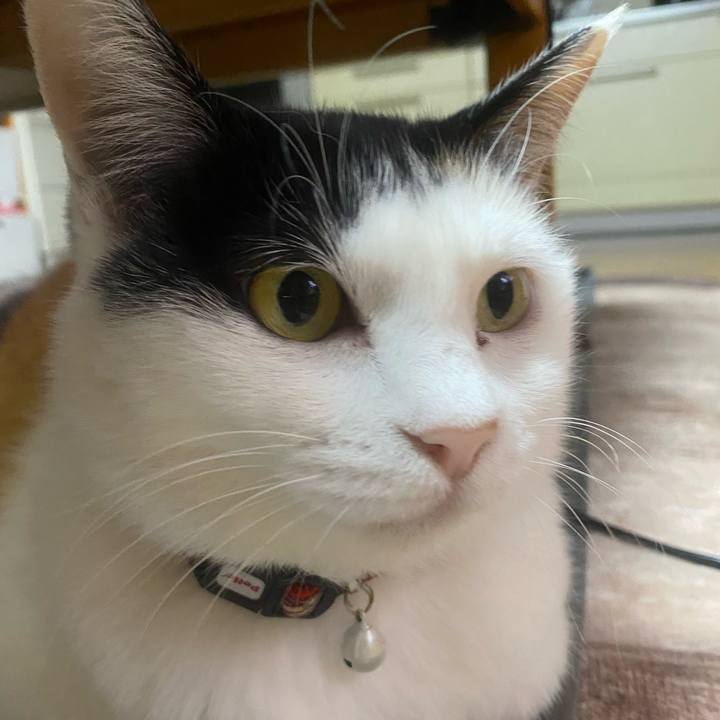 0e20ad4d 8708 4bdb ad24 c57be021ea95 1652127568857