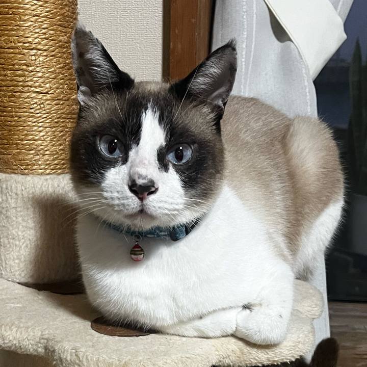 0e20b58e 589b 4da1 92d5 a53dc7dc605e 1774087036971