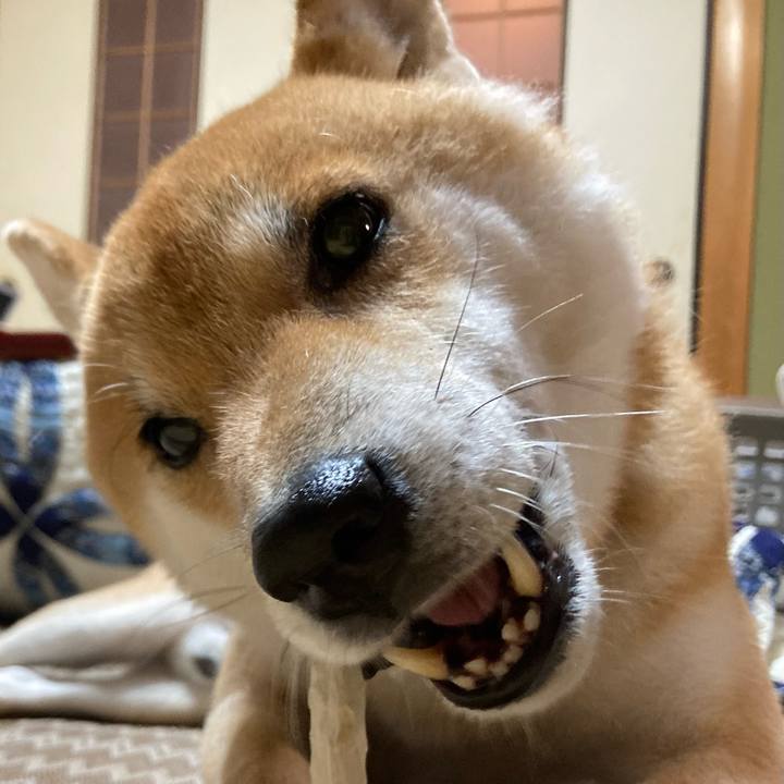 0e20c0f5 a22f 40b4 adde 45293cfd1ad0 1668931220819