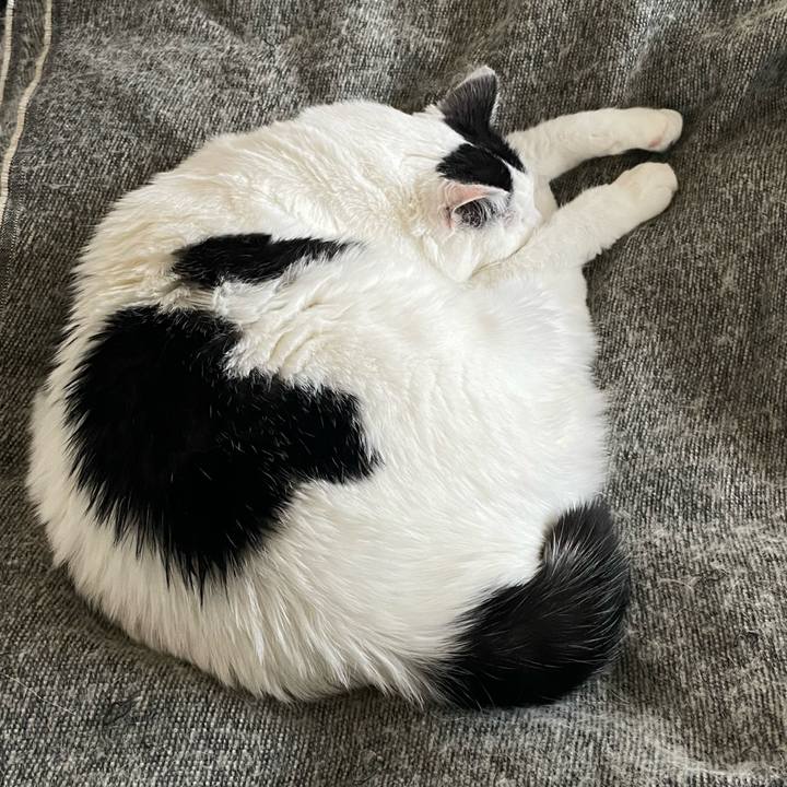 0e20eb00 a23c 4fde a966 e8e74db61262 1669332992267