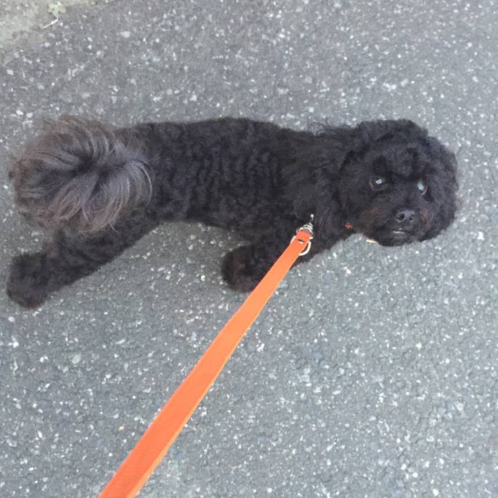 0e213272 b9da 4966 b4c1 9dd90ab9338e 1531944063094