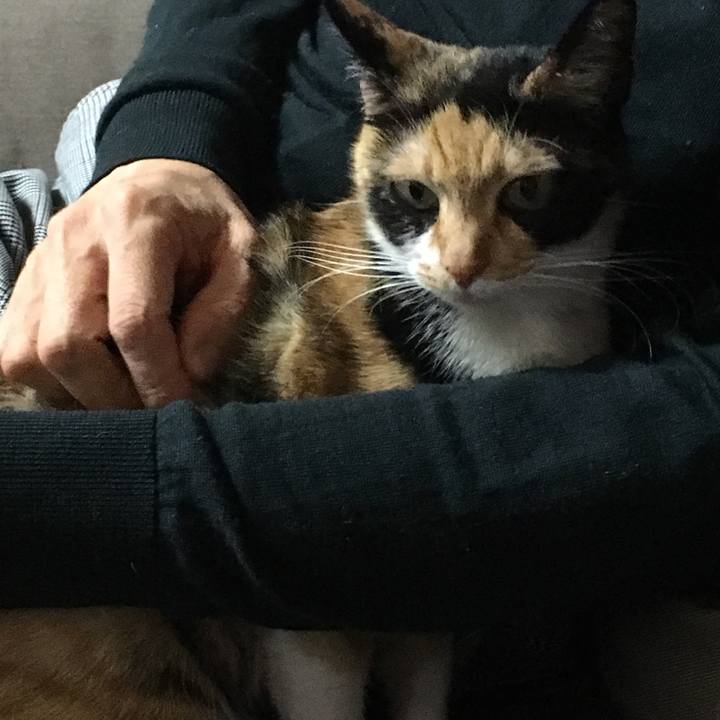 0e2140fc 27ef 4bcc 8821 733f85192c70 1513510350965