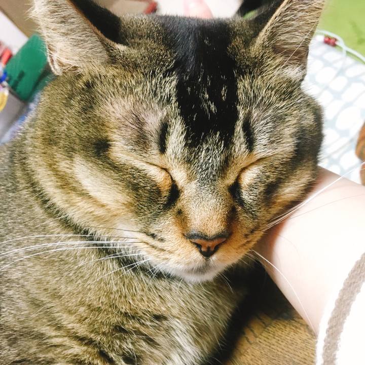 0e21527f 958e 4bfa 9e80 79a69717ceb4 1540198518306