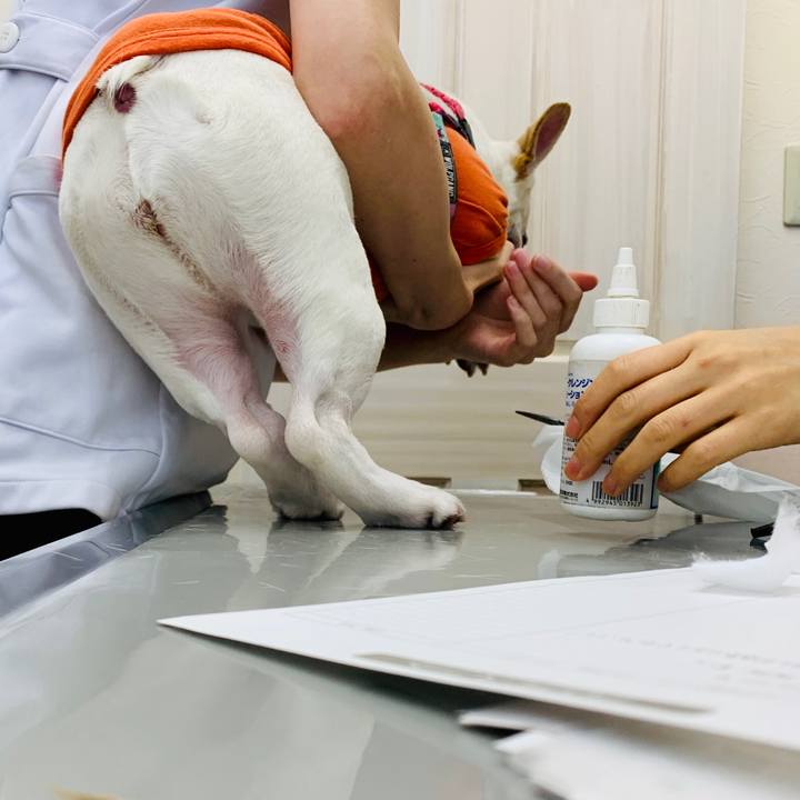 0e218552 1fb4 4599 9f7f cb352e7457eb 1601787562546