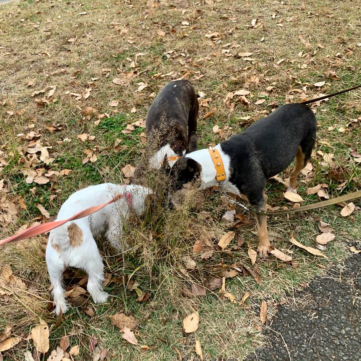 0e21ced8 3202 4dc9 80f9 c8cef991de43 1606126258940