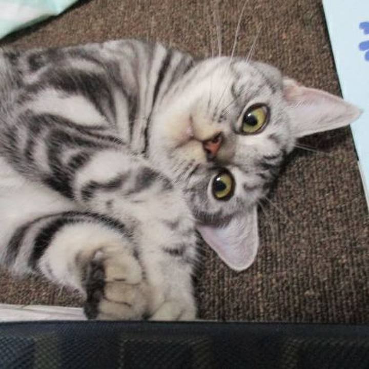 0e21e101 0432 4bd6 a523 20f391909d8f 1538830977495