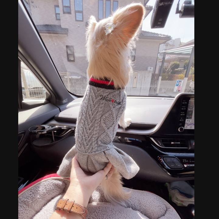 0e21f846 0833 4980 a18c 5f2385f63844 1739713991483