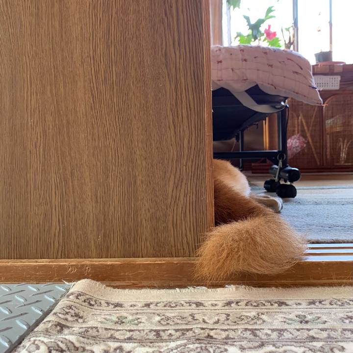 0e220a00 dd5b 41d7 892e 5e8186405c41 1628245248029