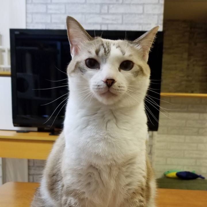 0e220f16 b374 4176 922f 6023565f43d7 1538471171533