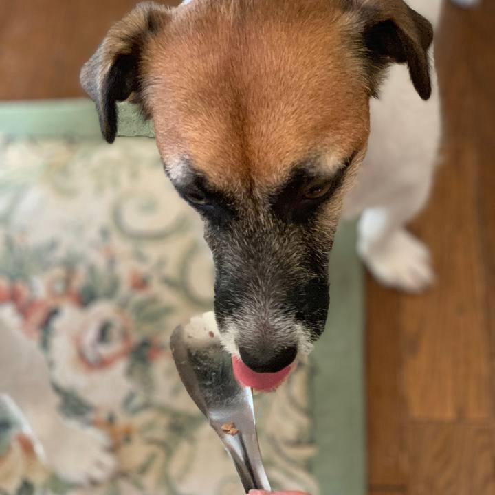 0e2210e9 87f5 46a4 83a1 293d5b9647f4 1568244739926