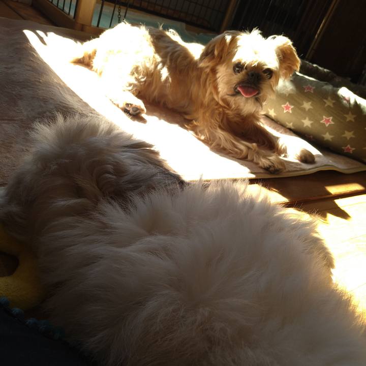 0e222d0f 367f 4630 8854 4e9e1ac87183 1605072459938