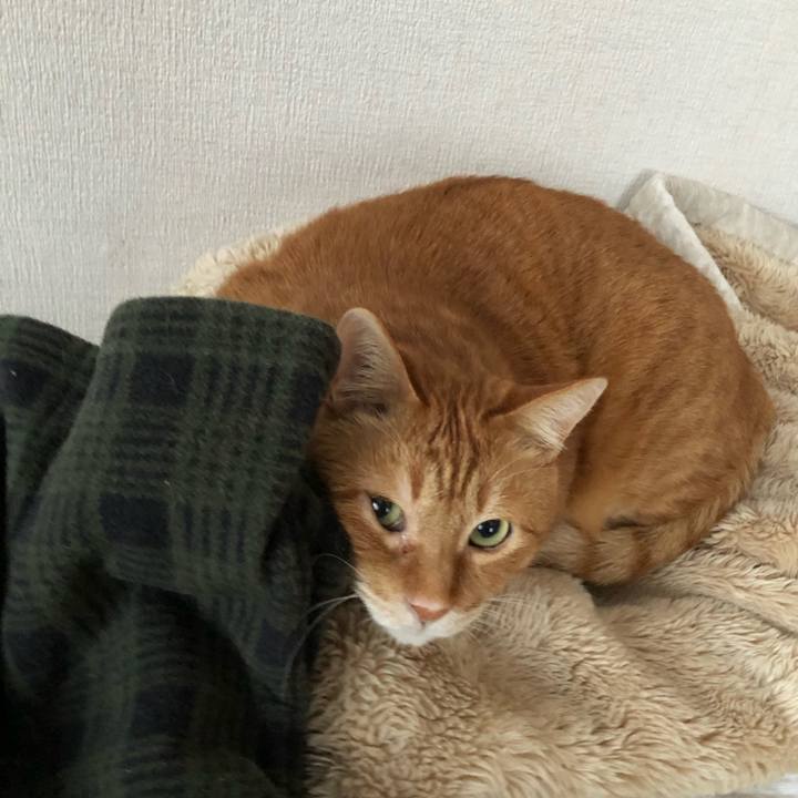 0e224396 094b 4920 b60a caa74d1be9c4 1645402223703