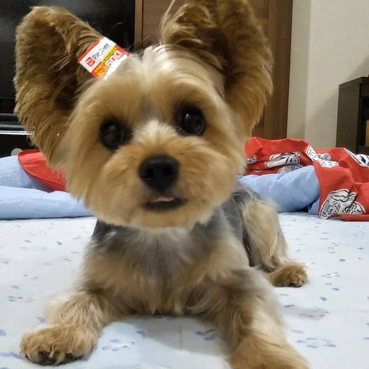 0e224ef1 3ed9 4aa8 a9d7 0e4436a0ceb4 1630327200930