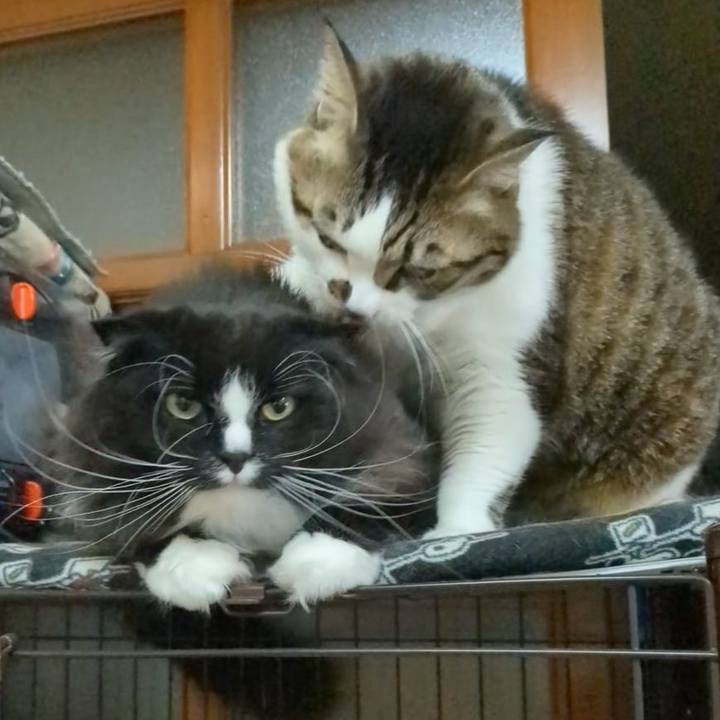 0e228549 9859 45f0 8dba 0b5acbdb2cb0 1741519389490