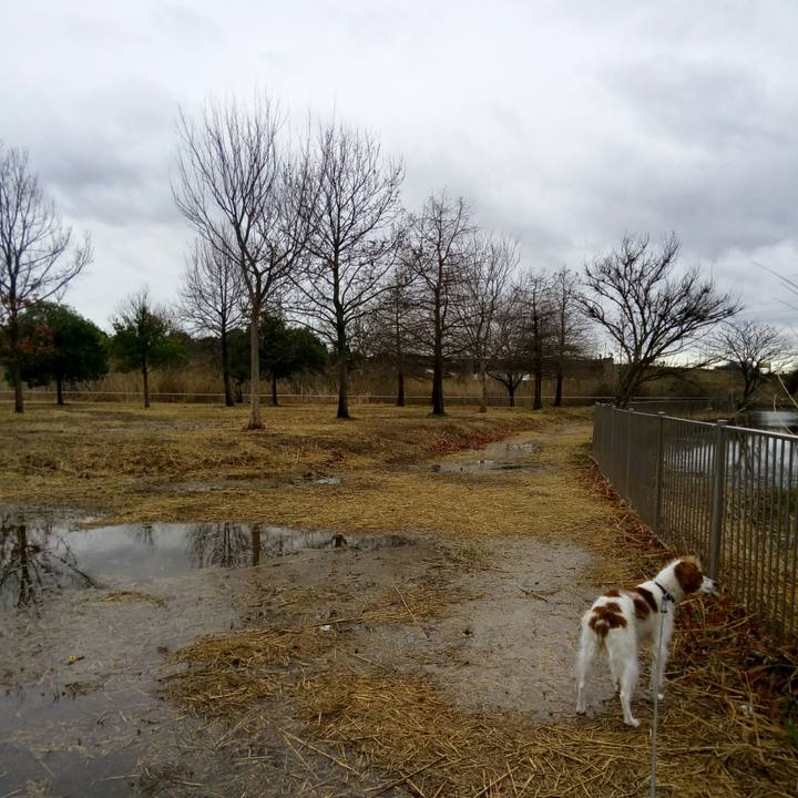 0e22b269 7116 4787 ac23 a3308d92404c 1520553837464