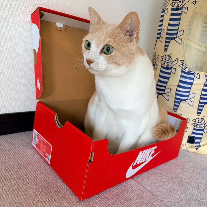 0e22c723 e457 4026 a43c bc49da490b33 1773876957653