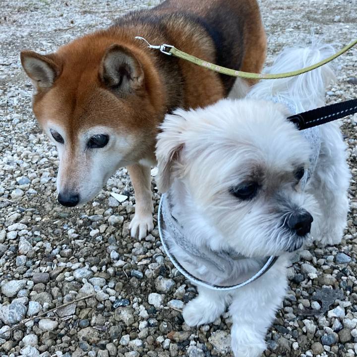 0e22e1fe f172 4c8b 8b46 fb7178b97bf4 1669104865659