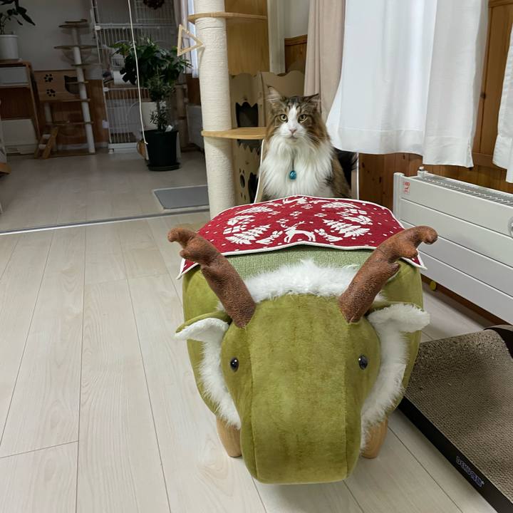 0e23360d d5b3 466d 8ebd 04691f328f8b 1730836959770