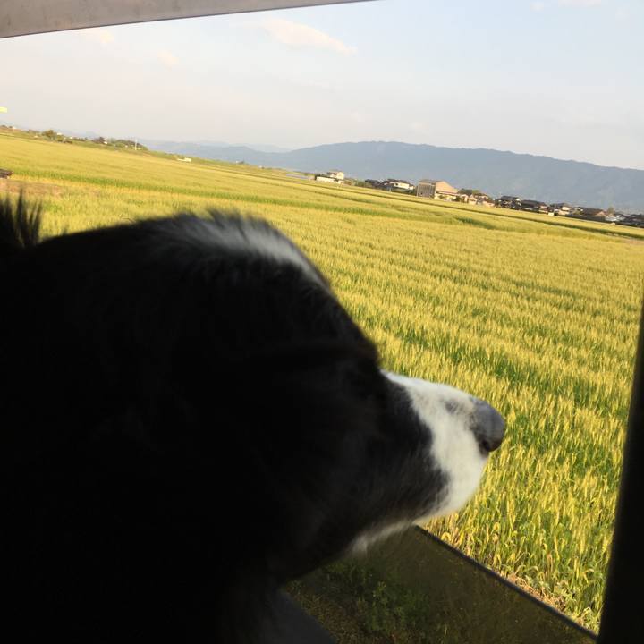 0e2353f2 f8a6 4189 bd38 48a4e907b692 1587977347266