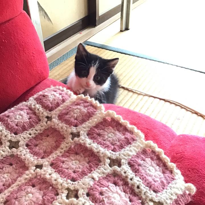 0e237782 7e59 40e0 b0d3 6a2075999675 1623400177192