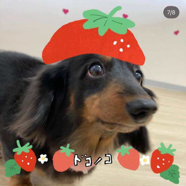 0e23864f 8e27 4490 a3b0 800e46ad1f74 1775541984502