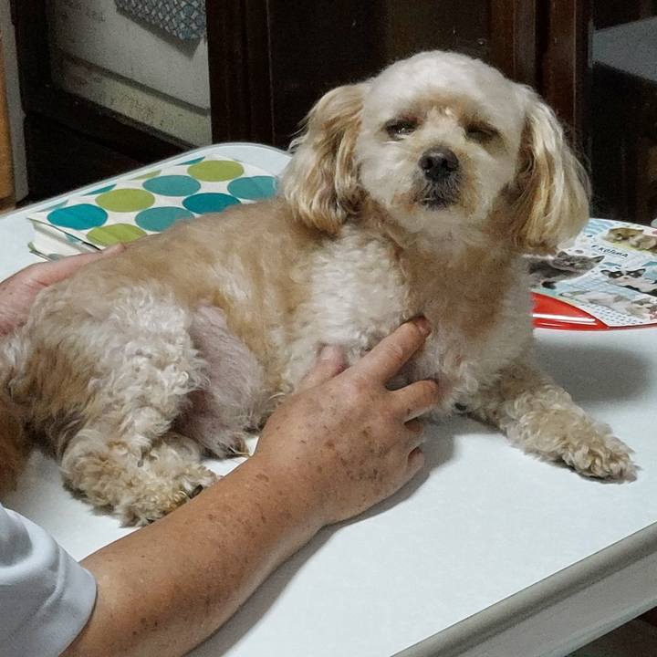 0e2407ec c043 4cef 9c76 c84ba4225d67 1662109712155