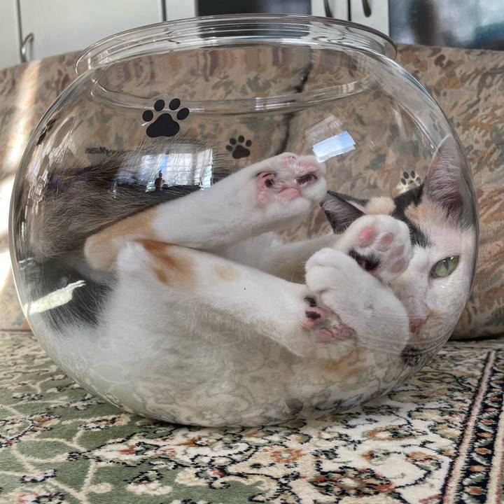 0e240848 2076 4236 b9e3 e30226d7b27f 1726786996503