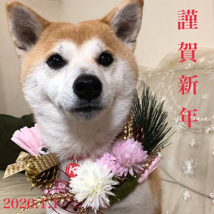 0e2418e5 2042 419e 9a90 7c6b33efe639 1577829371868